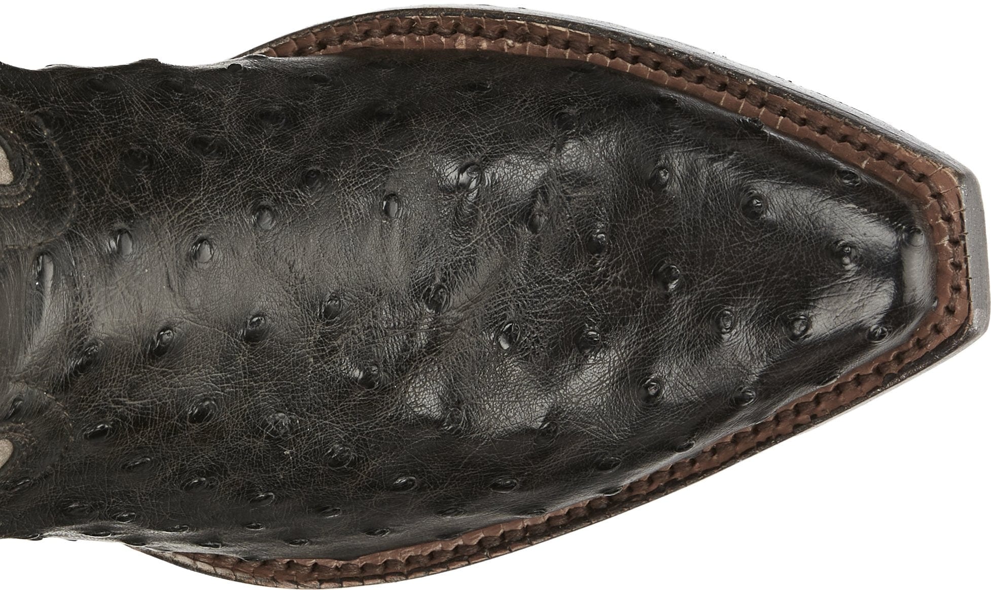 Tony Lama Women's Vaqueras Ines Full Quill Ostrich Mink Western Boots VF3055 - Image 5